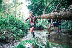 BIB: 
                            <button type="button" onclick="openModal(25444105)" class="btn btn-primary btn-sm float-right btn-popup" data-toggle="modal" data-target=".modal-high-quality">
                        <i class="fas fa-shopping-cart"></i> Add to Cart
                    </button>
                                            <button type="button" onclick="isThisMe(25444105, true)" class="btn btn-success btn-sm float-right btn-popup btn-isme hidden" data-toggle="tooltip" data-placement="bottom" title="นี่คือรูปของคุณใช่ไหม คลิกที่นี่เพื่อเอาเข้าอัลบั้ม">
                        <i class="fas fa-plus"></i> Add to album
                    </button>
                    <button type="button" onclick="isThisMe(25444105, false)" class="btn btn-warning btn-sm float-right btn-popup btn-isnotme hidden">
                        <i class="fas fa-ban"></i> Remove from album
                    </button>